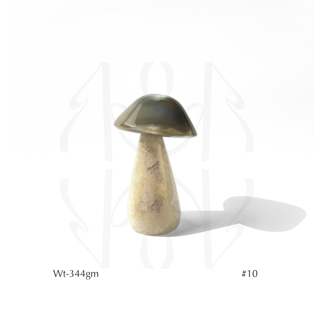 Money Mushroom