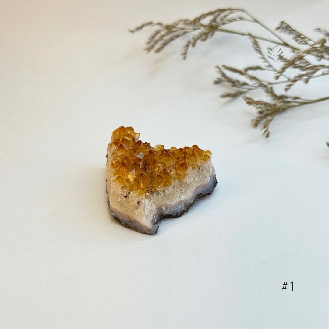 Cash Flow Activator Citrine