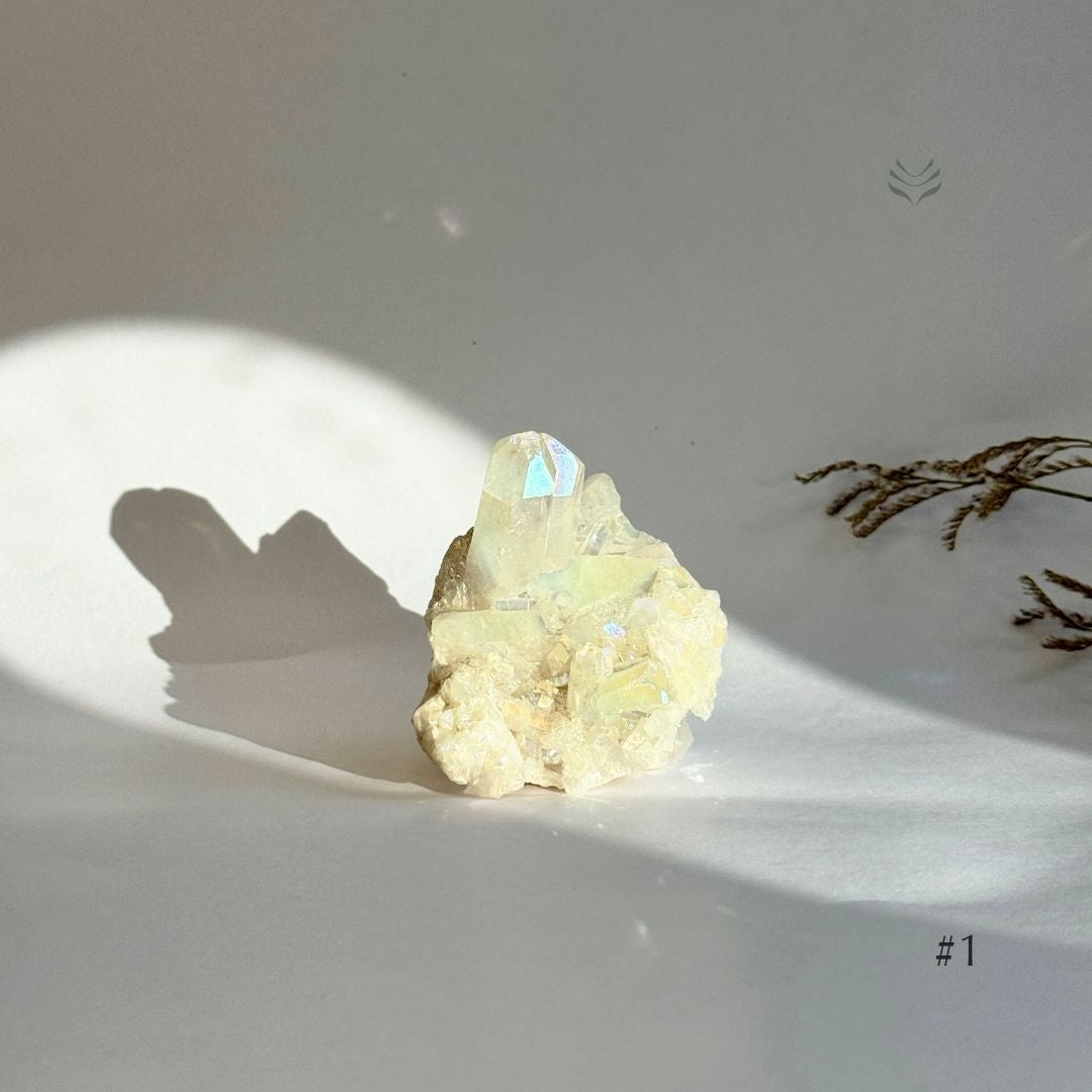 Release Emotional Baggage Angel Aura