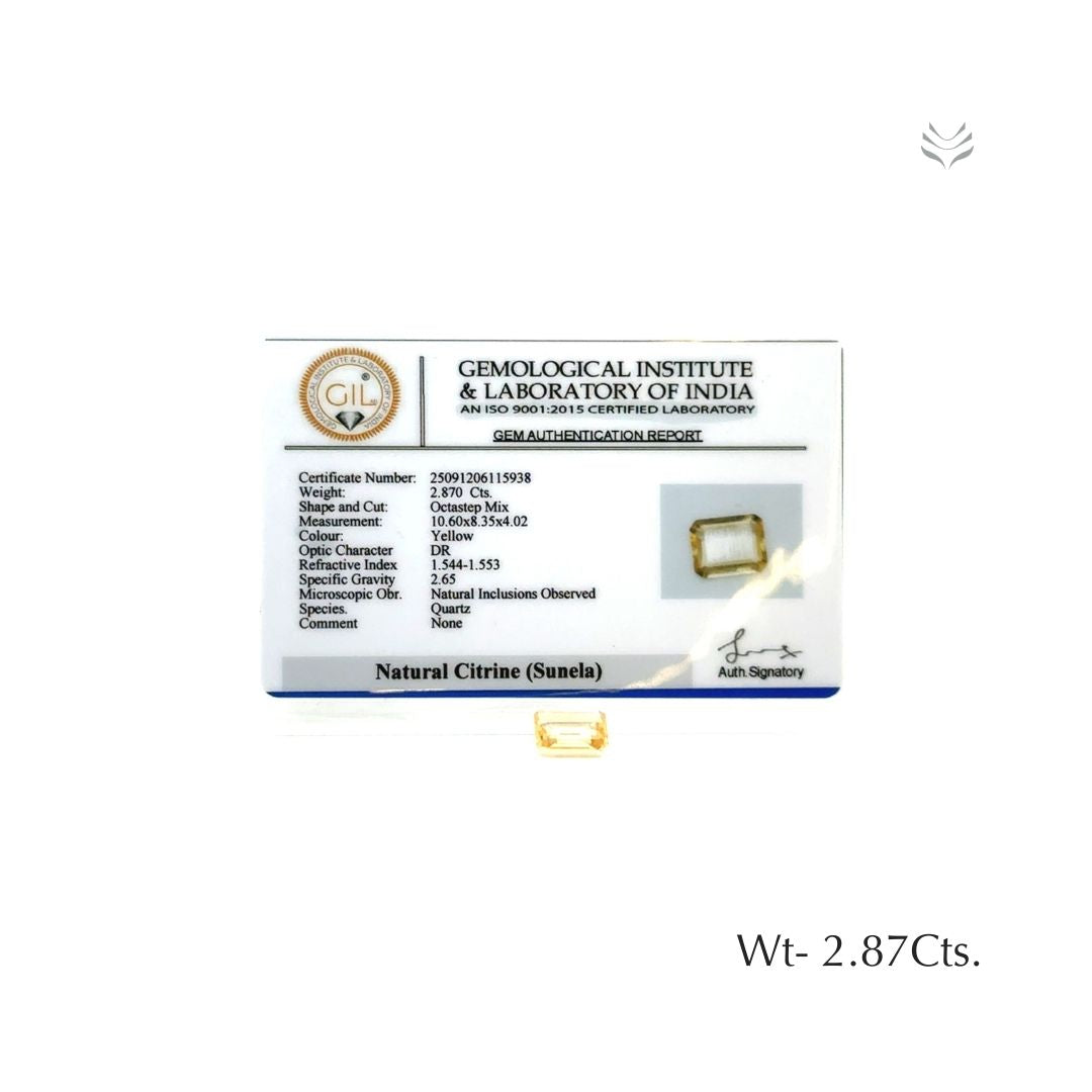Citrine - 2.87 Ct