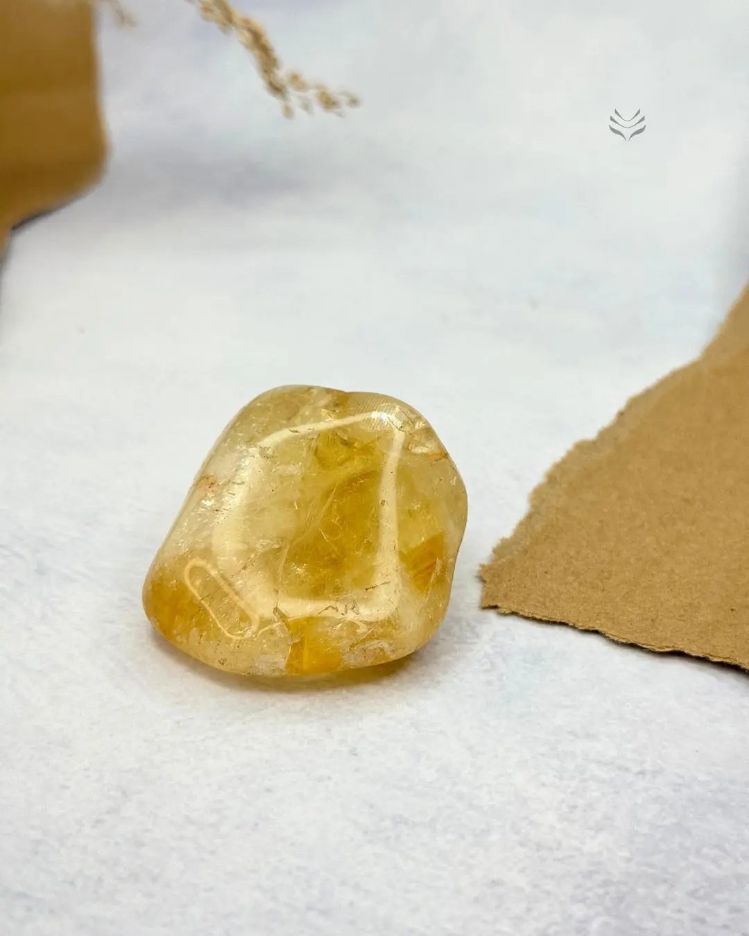 ENDLESS LUCK AND MONEY TUMBLE COMBO - JUMBO