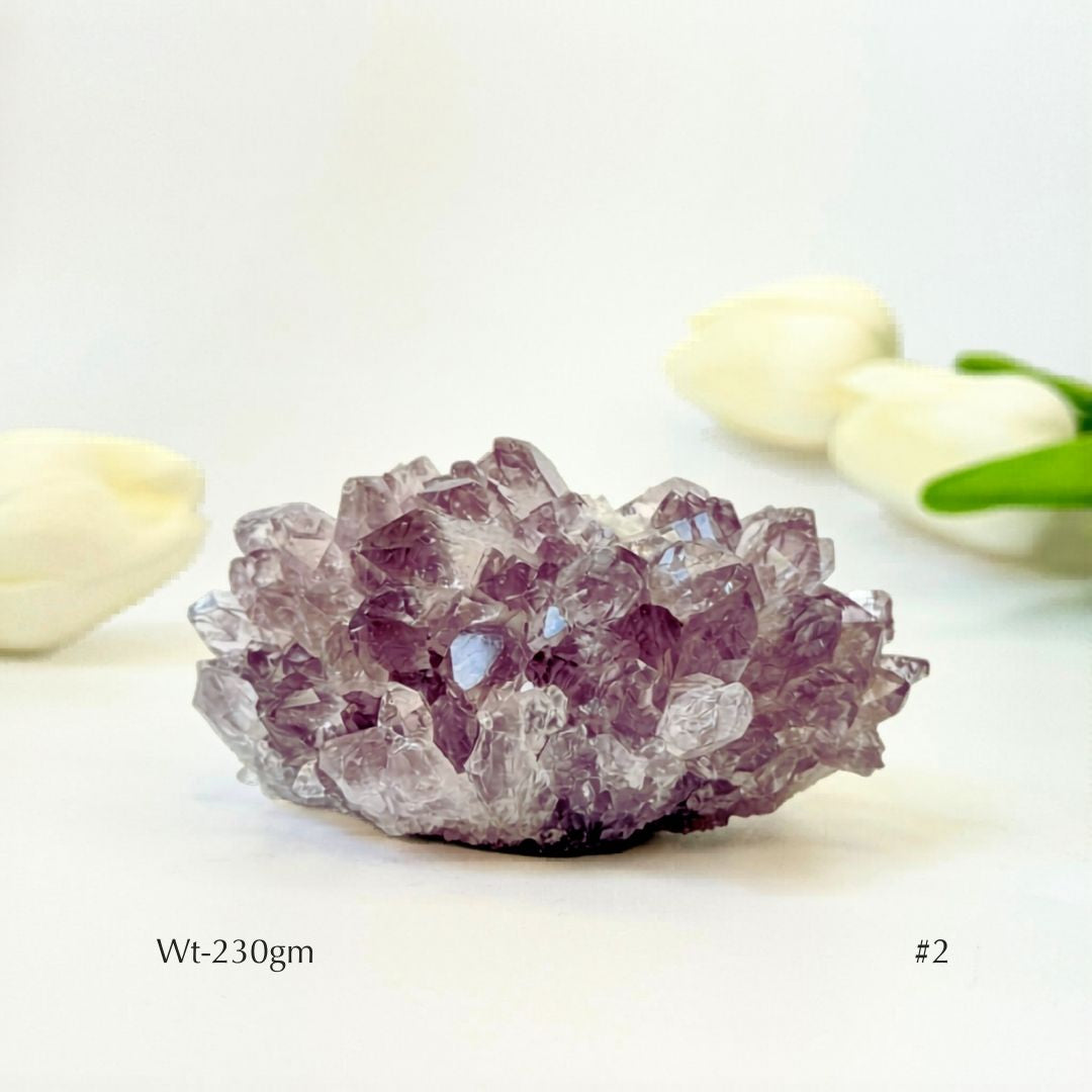 Collector's Piece Amethyst Flower Cluster