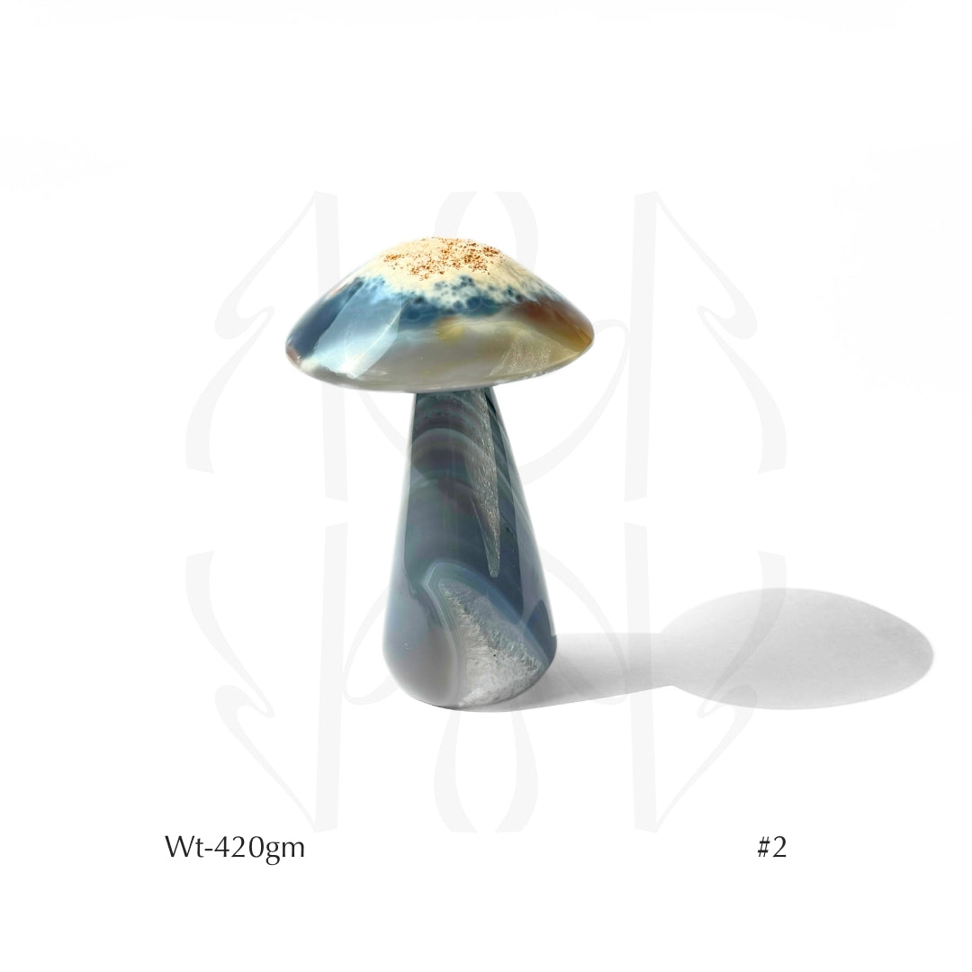 Money Mushroom