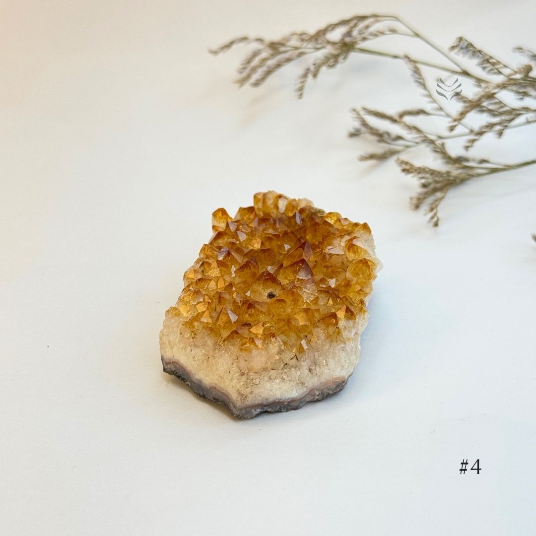 Cash Flow Activator Citrine