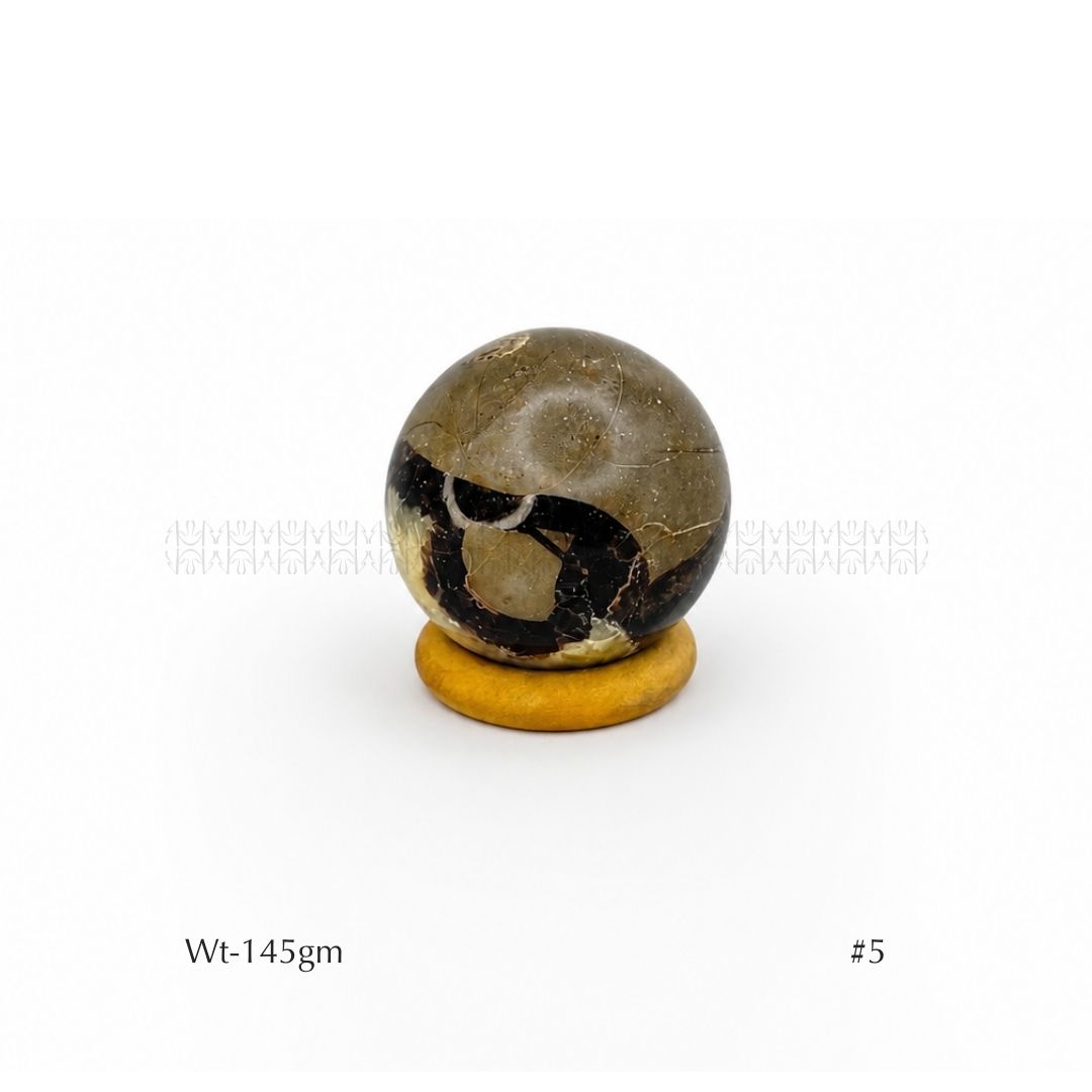 Authority Sepatarian Sphere