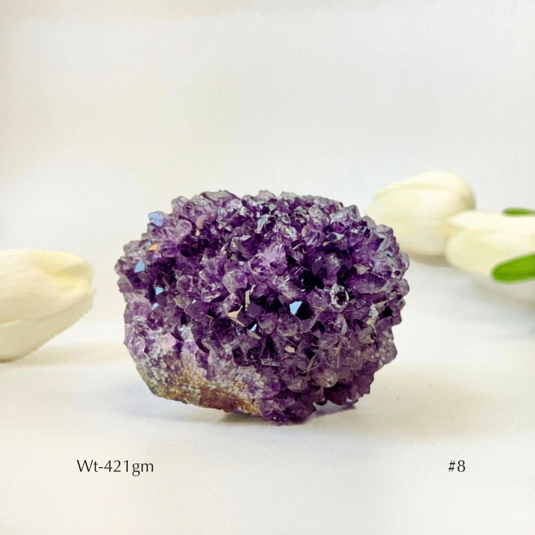 Collector's Piece Amethyst Flower Cluster