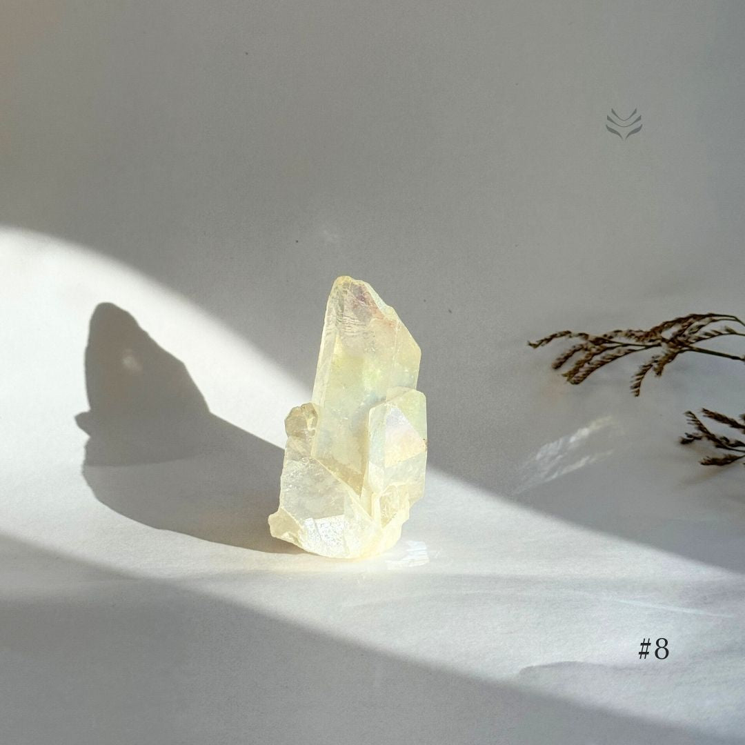 Release Emotional Baggage Angel Aura