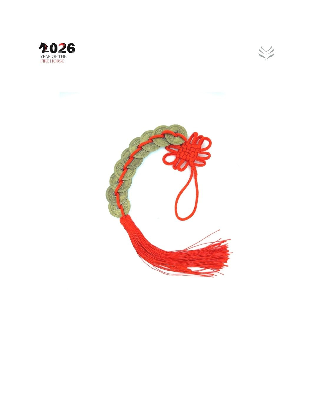 9 LUCKY COIN FOR MAIN DOOR