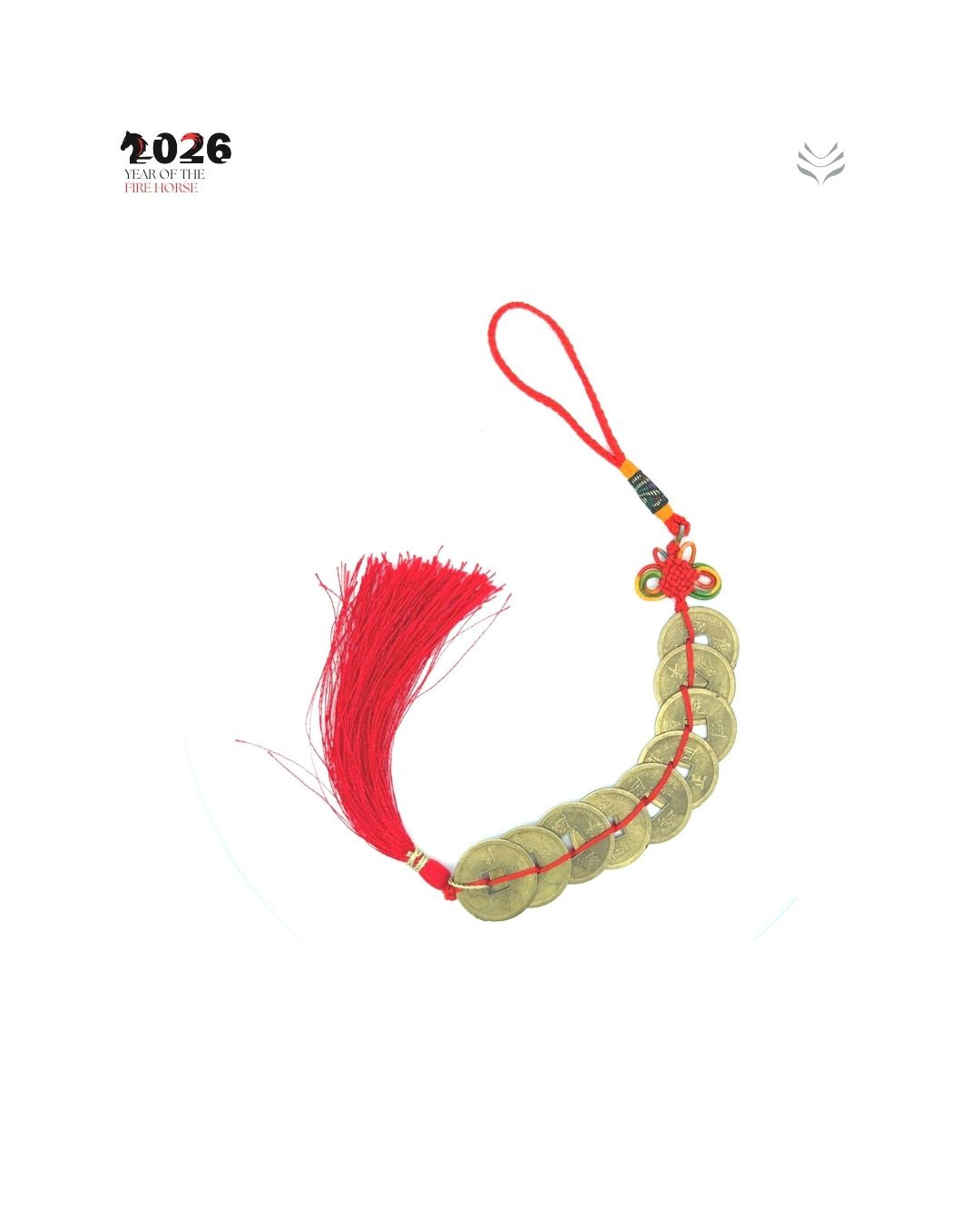 9 LUCKY COIN FOR MAIN DOOR