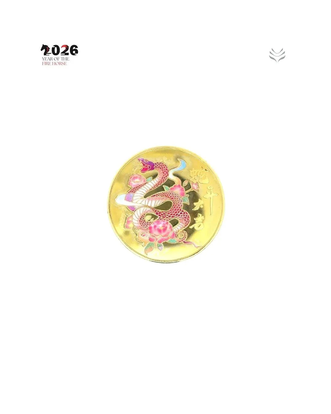 ANTI MISFORTUNE SNAKE COIN feng shui