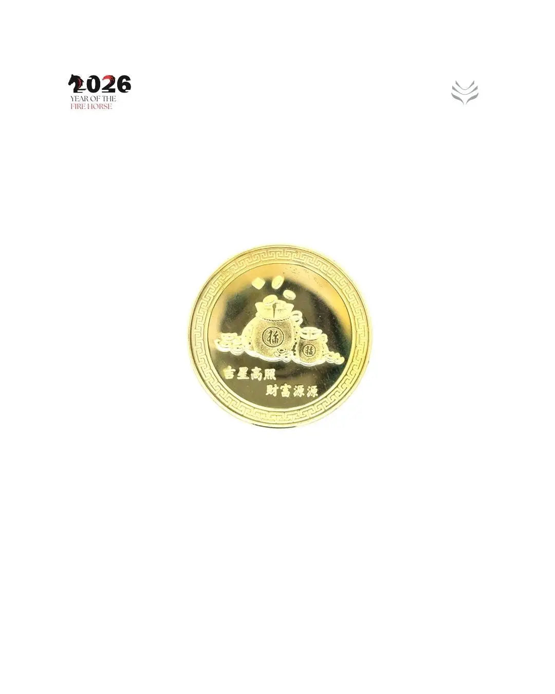 ANTI MISFORTUNE SNAKE COIN
