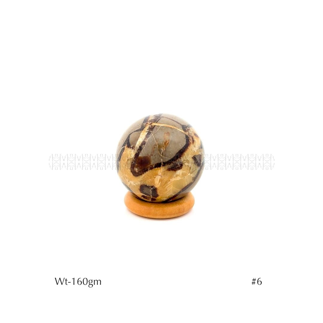 Authority Sepatarian Sphere - 2nd Edition