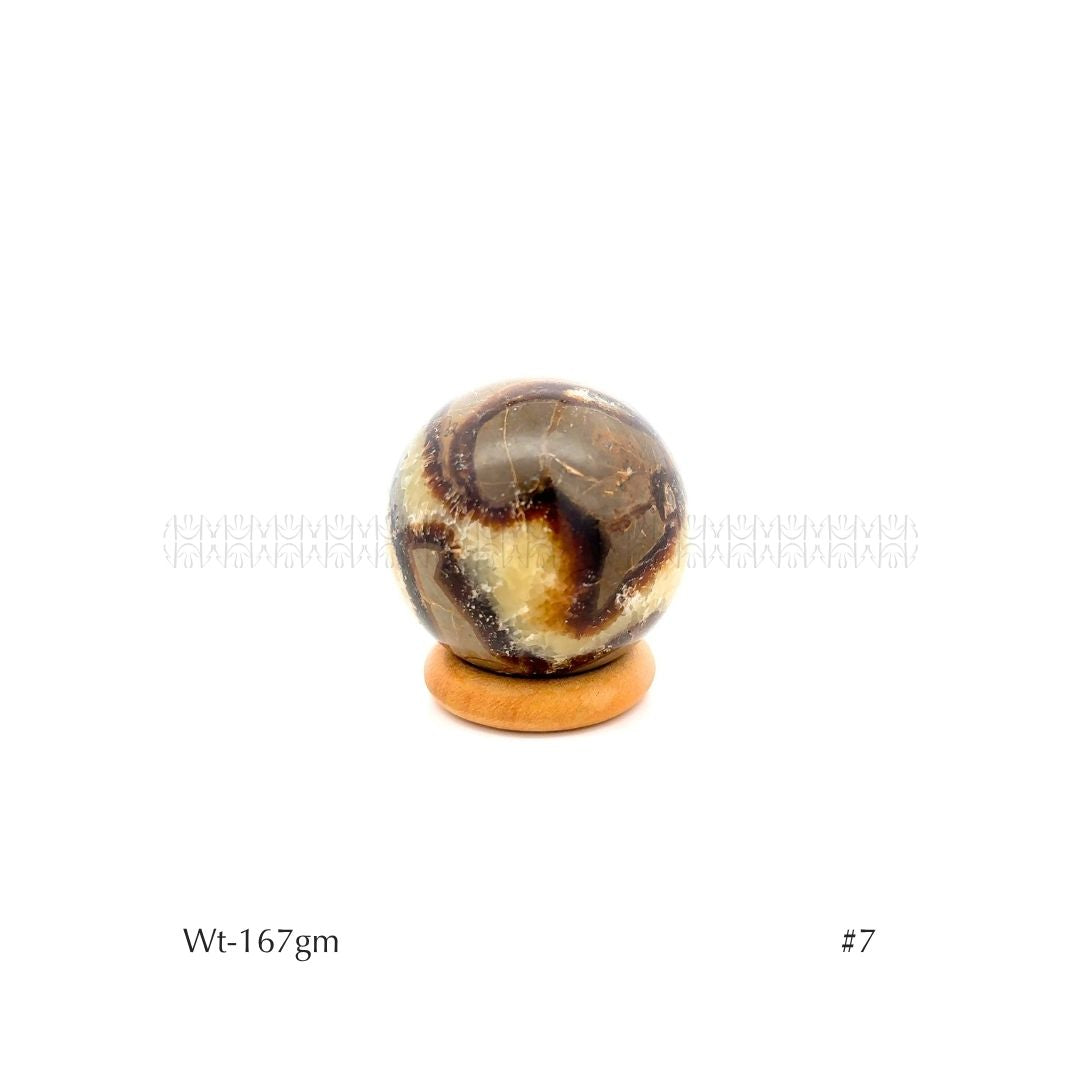 Authority Sepatarian Sphere - 2nd Edition