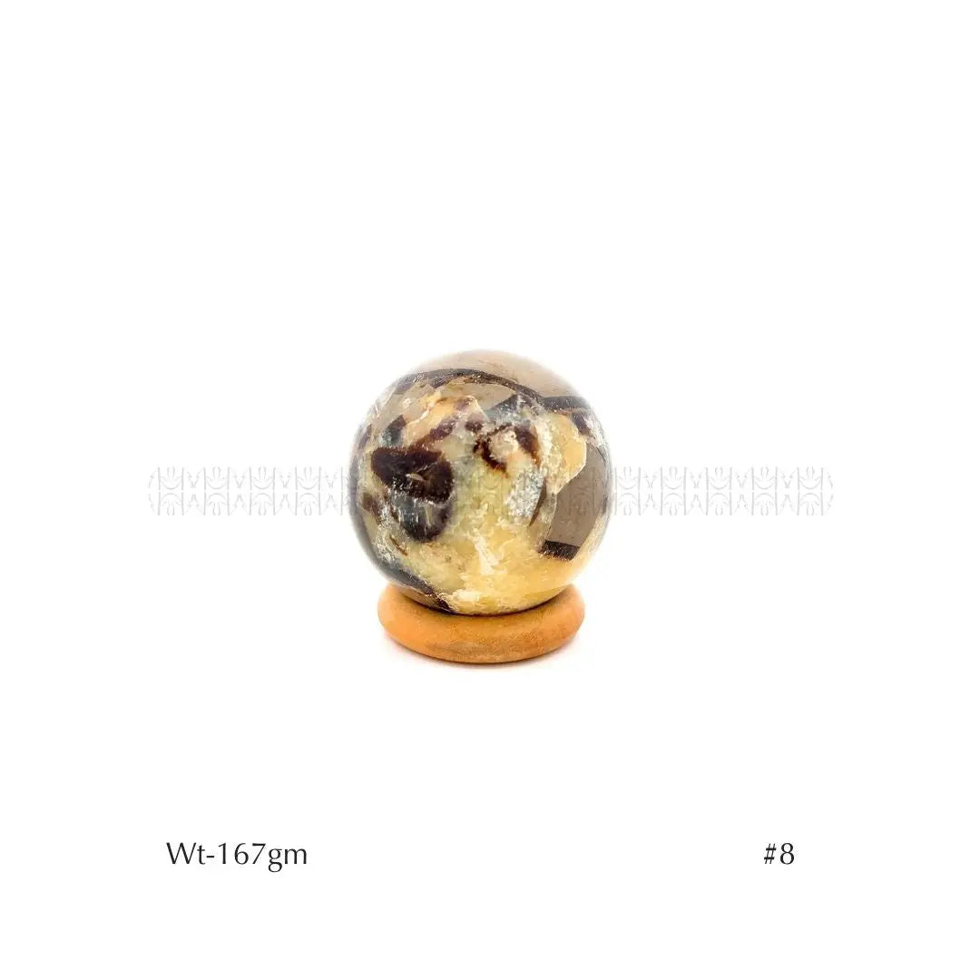 Authority Sepatarian Sphere - 2nd Edition