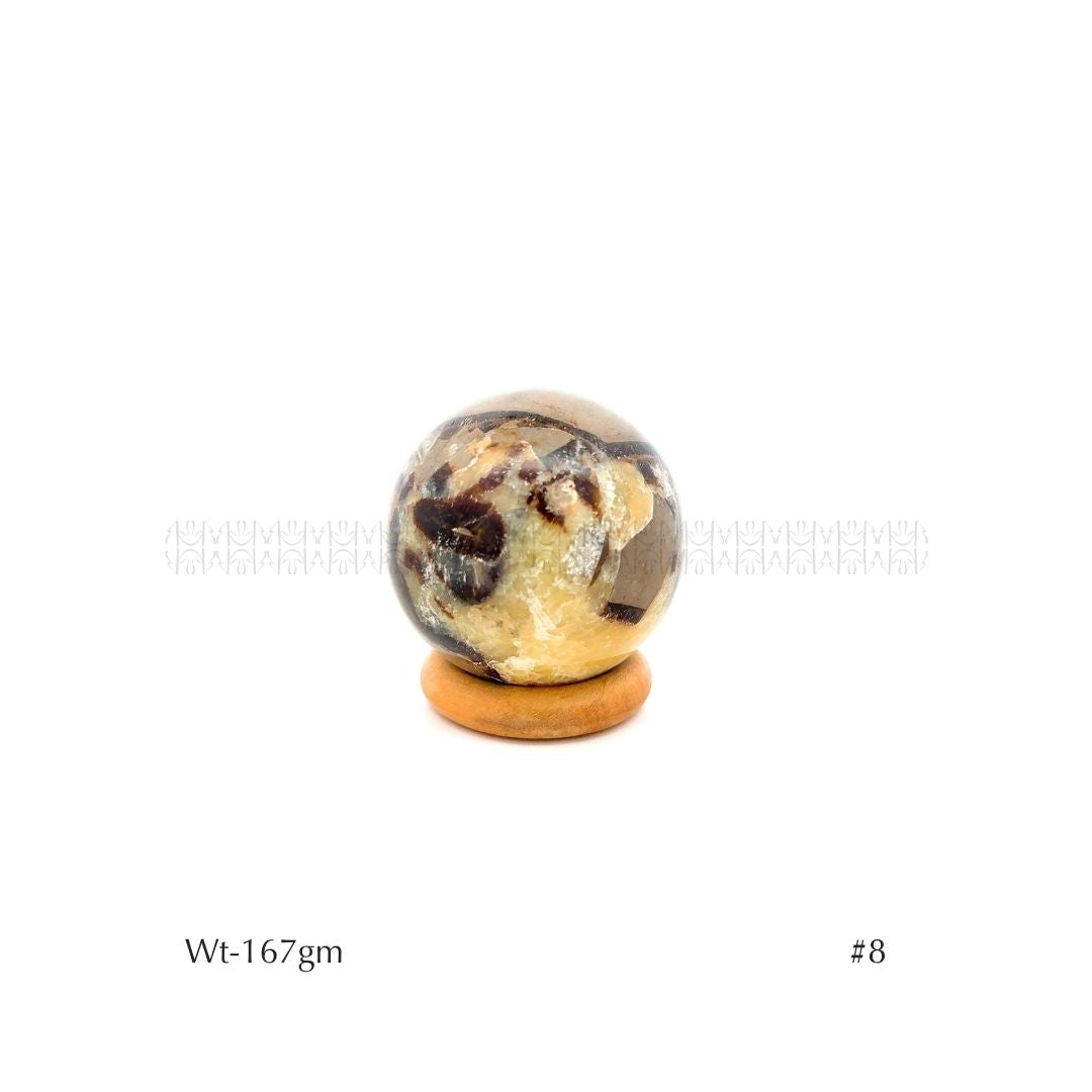 Authority Sepatarian Sphere - 2nd Edition