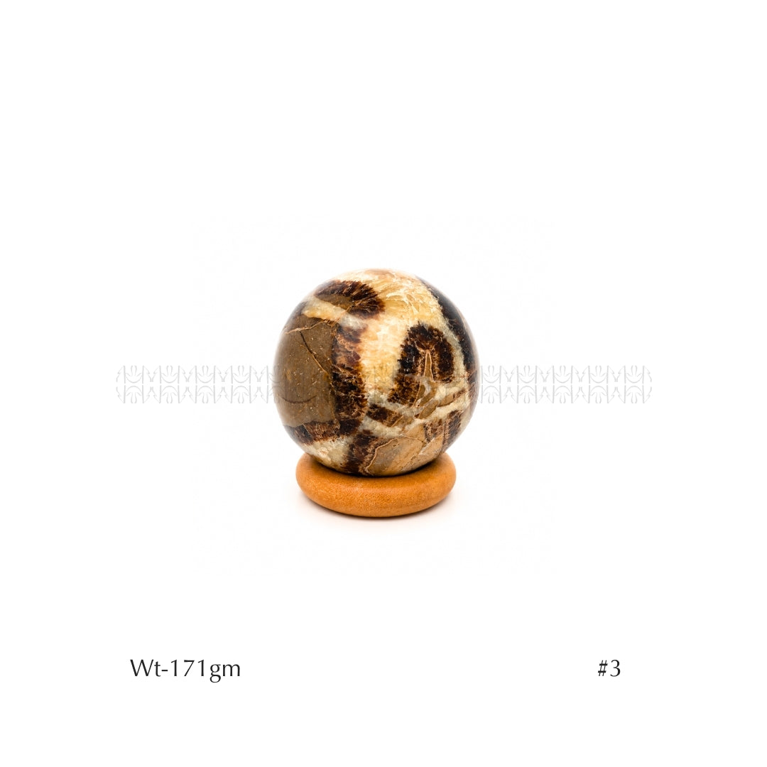 Authority Sepatarian Sphere - 2nd Edition