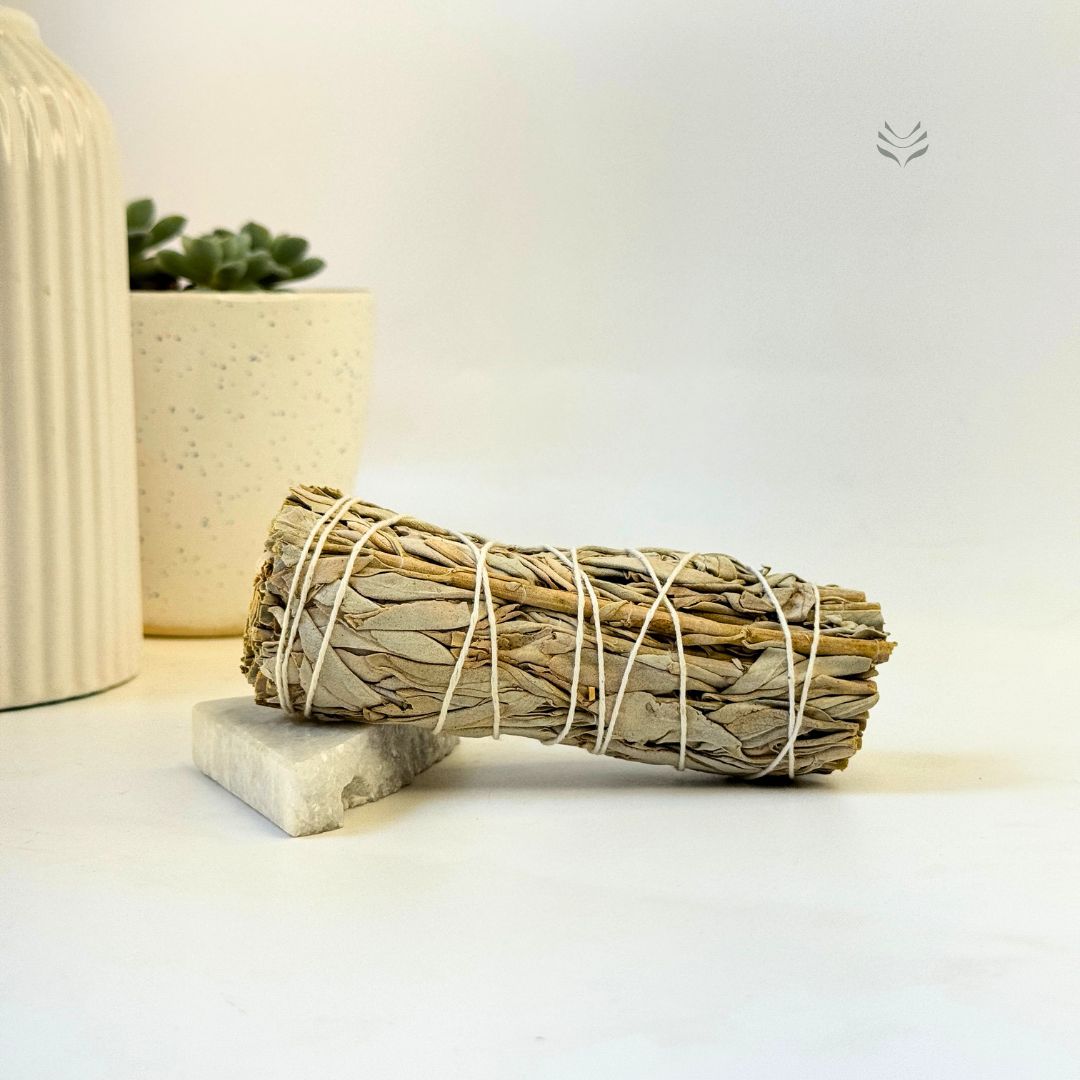 California White Sage