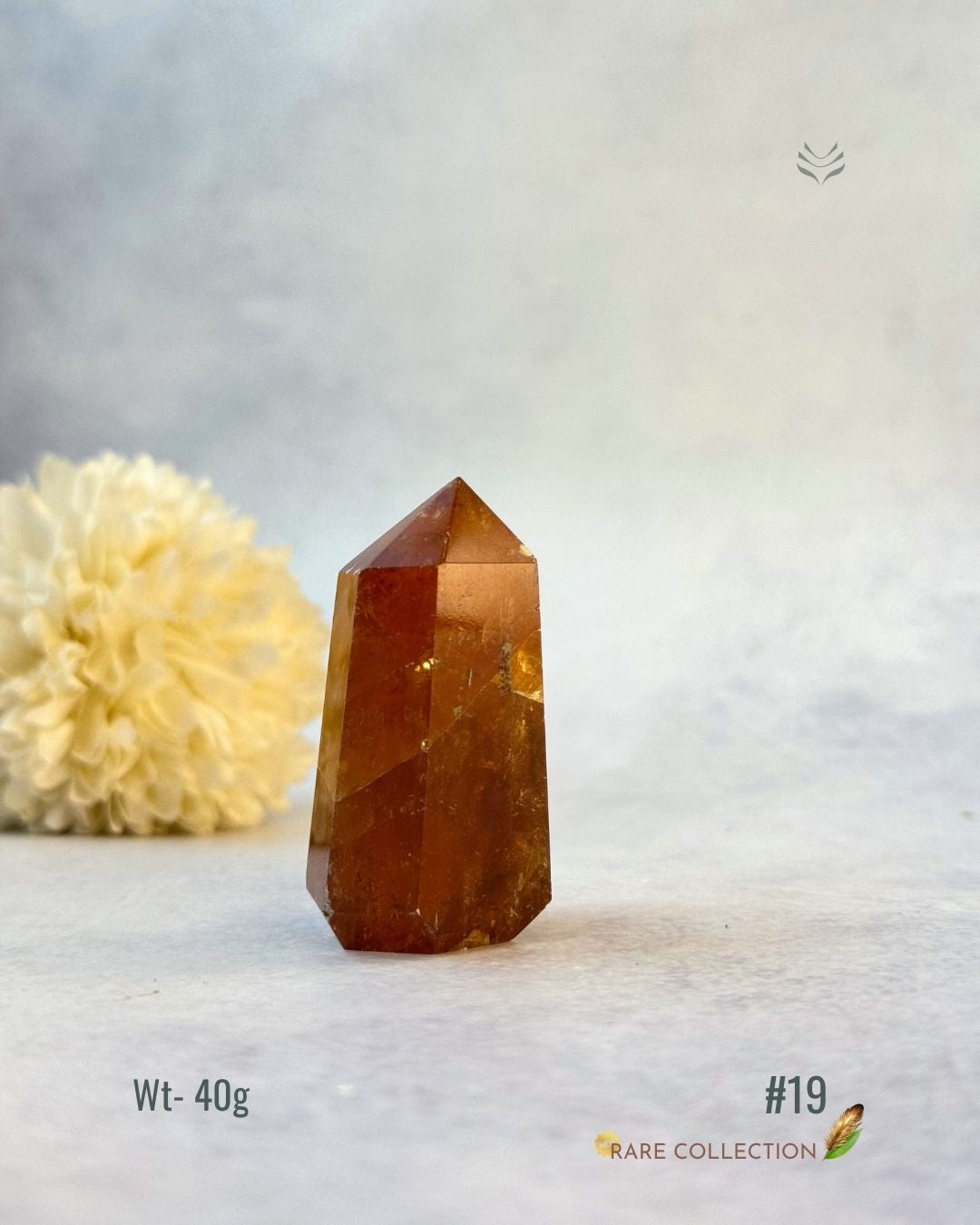 Premium Citrine Points