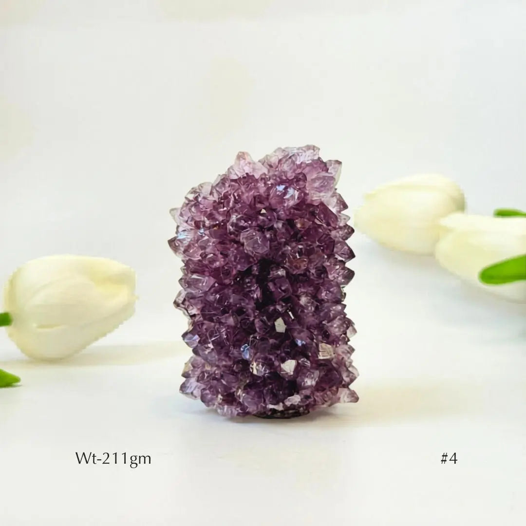 Collector's Piece Amethyst Flower Cluster Geode