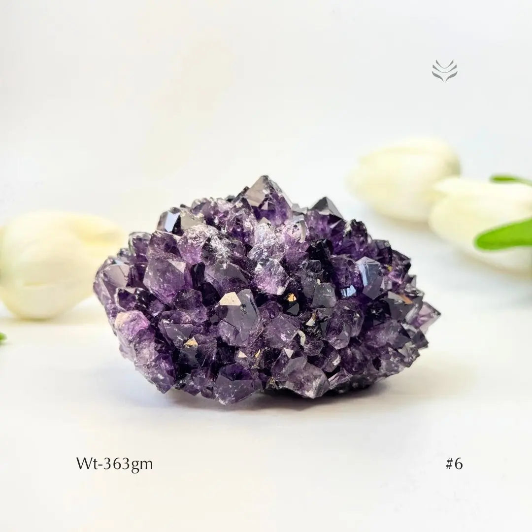 Collector's Piece Amethyst Flower Cluster Geode