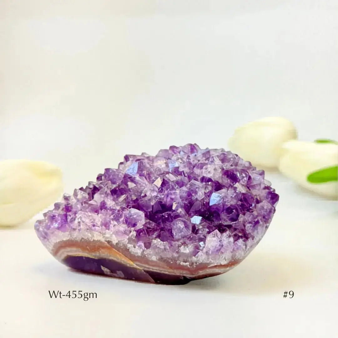 Collector's Piece Amethyst Flower Cluster Geode