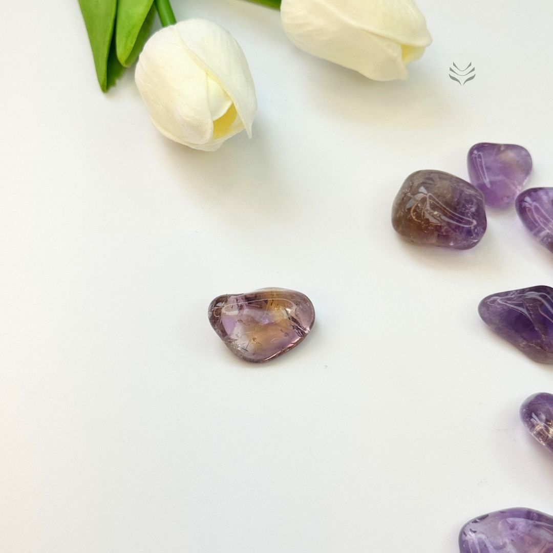 Windfall Abundance Ametrine Tumbles