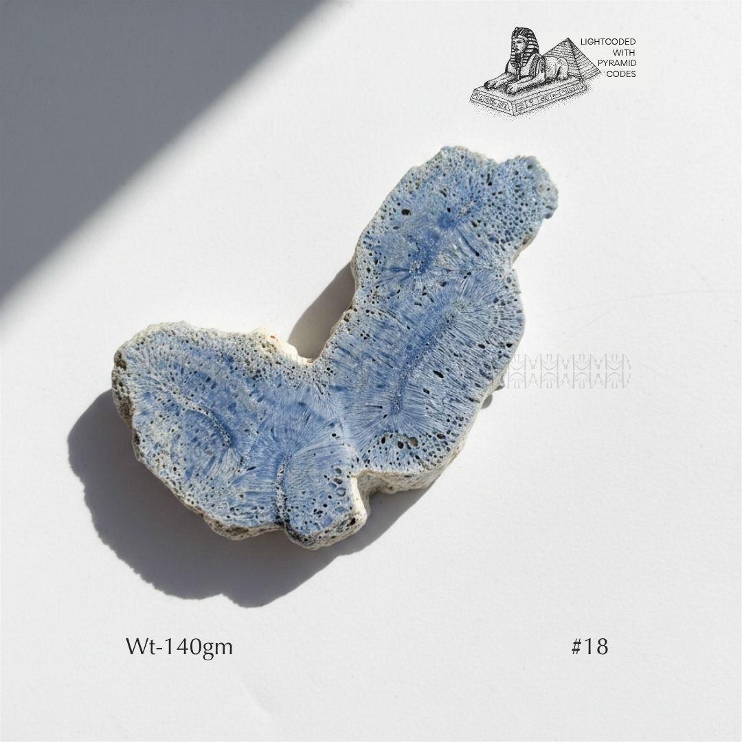 Fame Through Talk Blue Coral