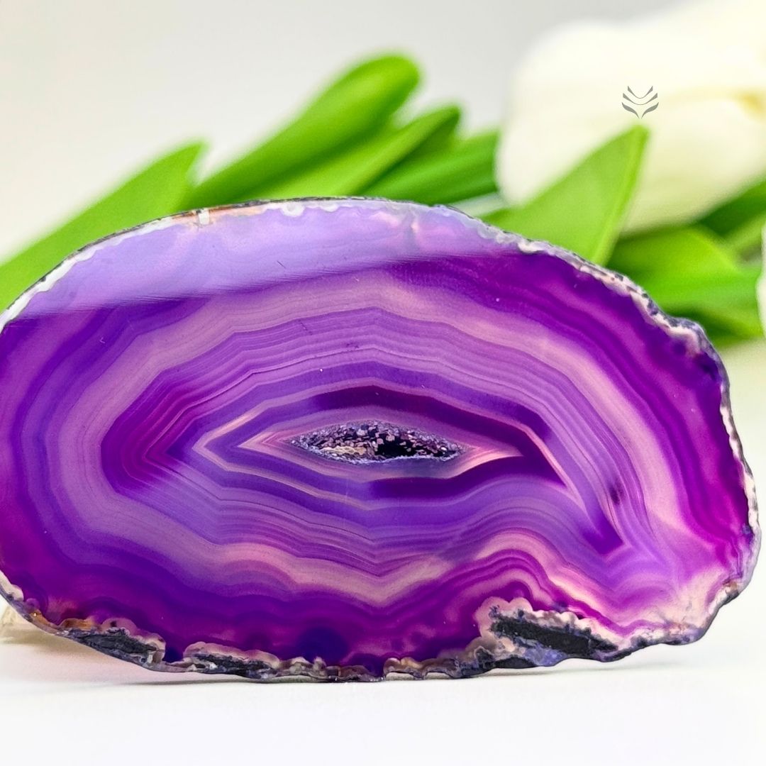 Galactic Wisdom Purple Agate Portal Slice