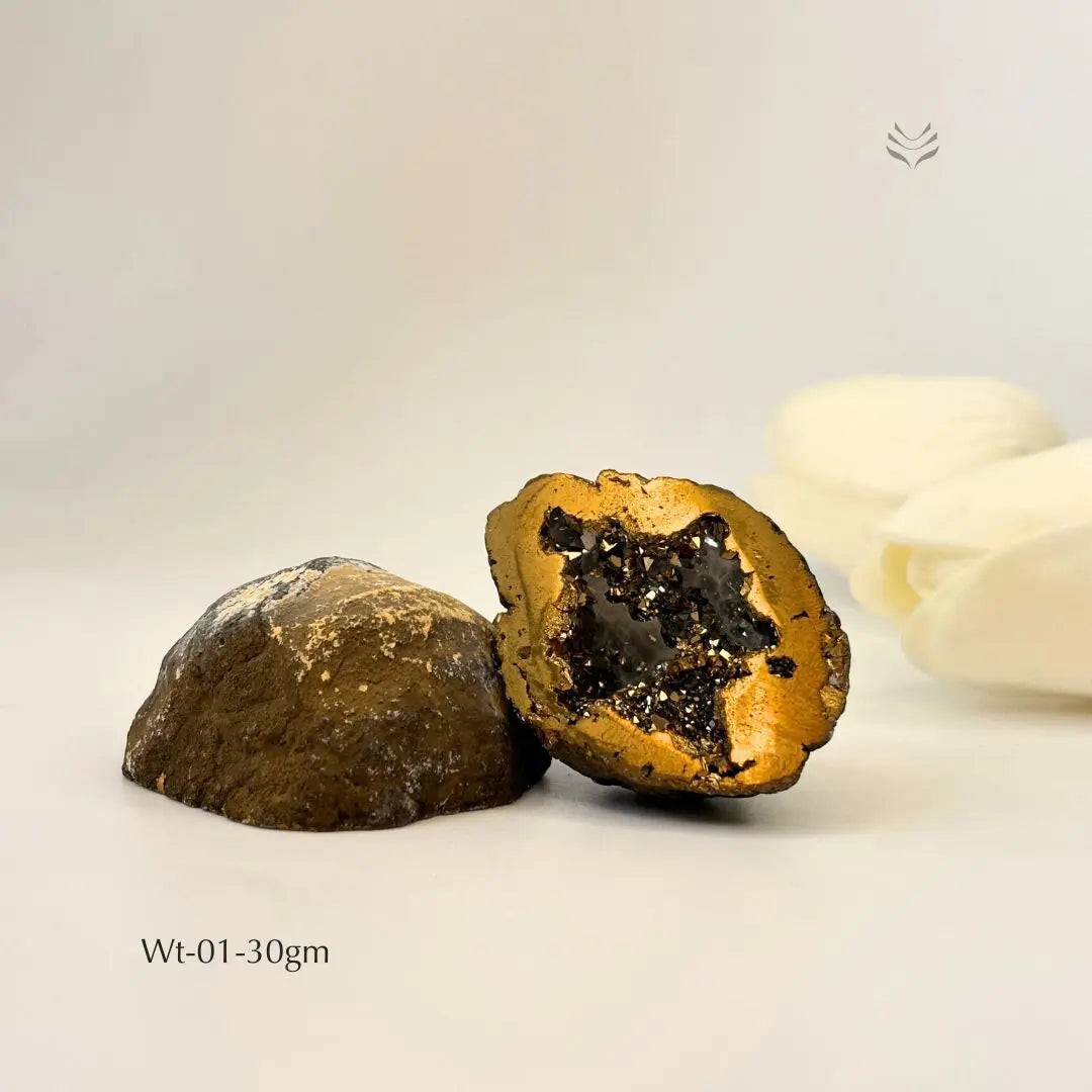 Golden Pyrite Geode for Wealth & Manifestation Geode