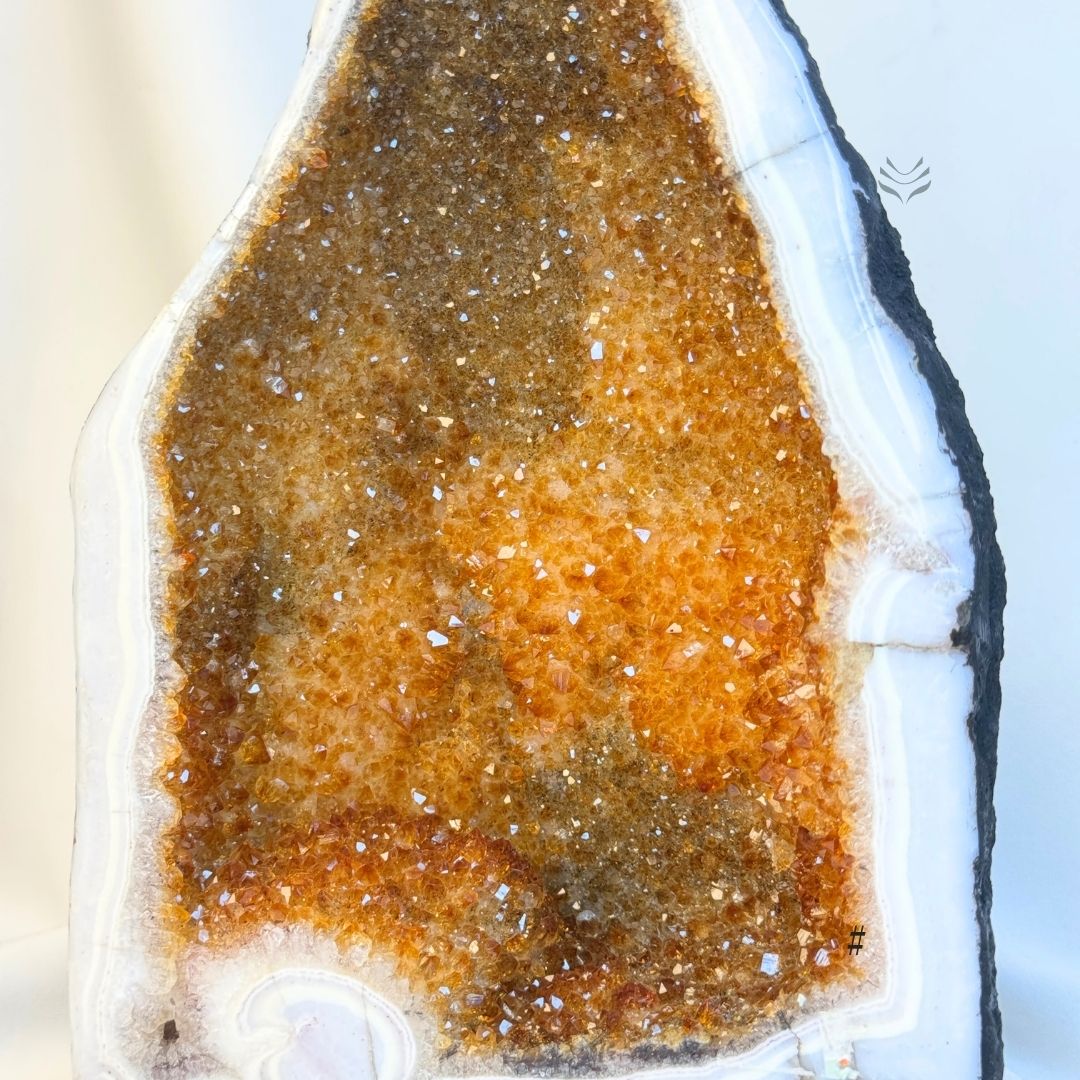 Citrine Geode - Golden Opportunity