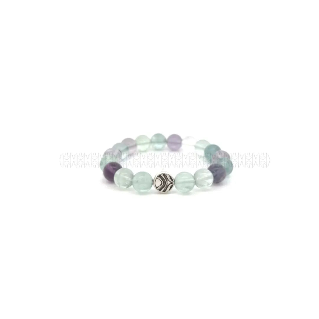 Health & Healing Bundle