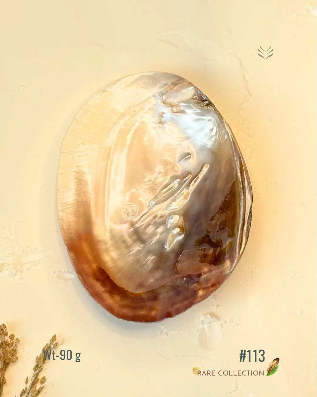 Invite Luxury Shells