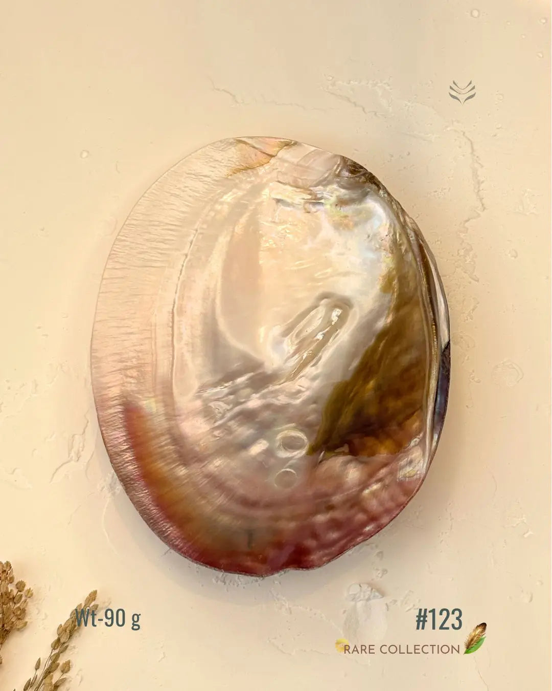 Invite Luxury Shells