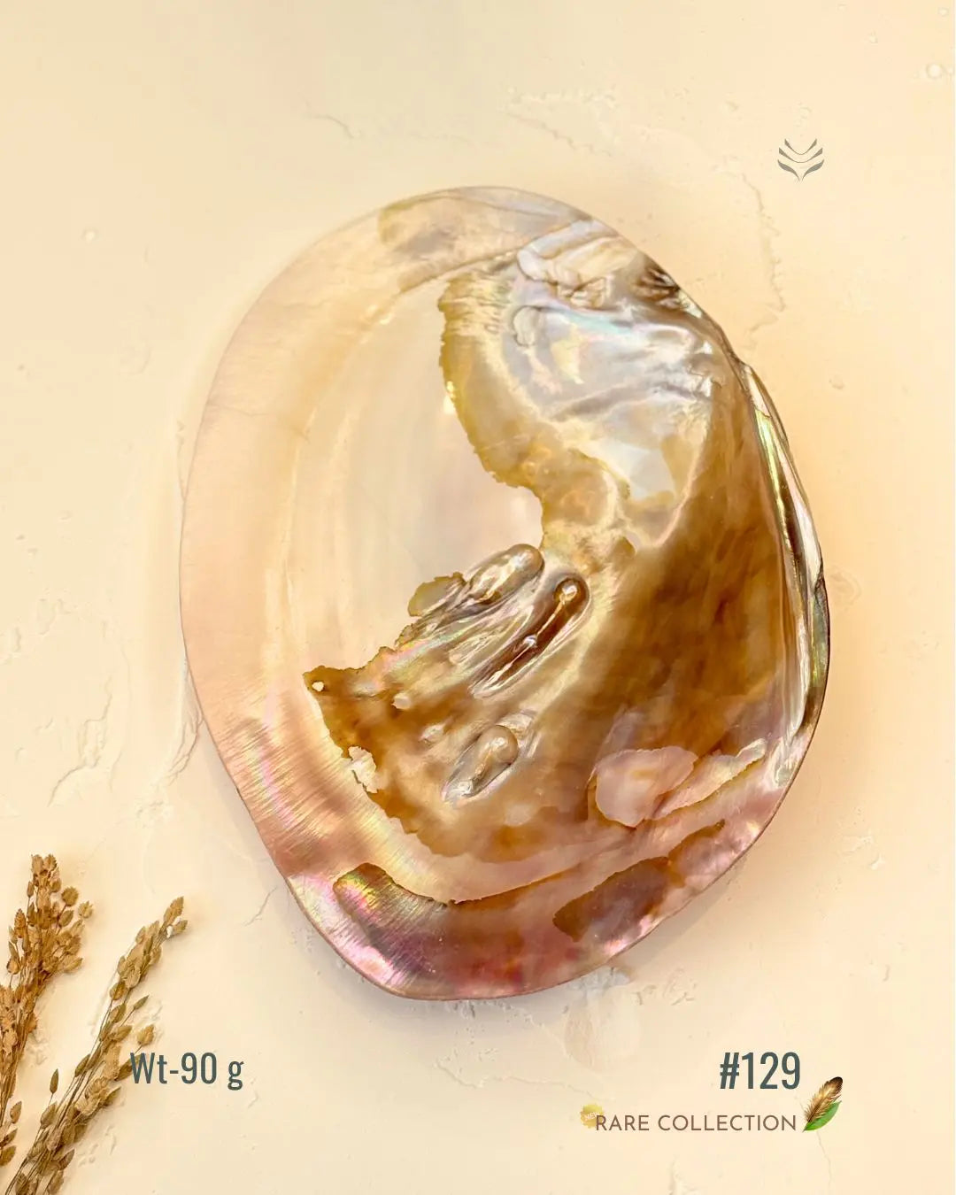 Invite Luxury Shells