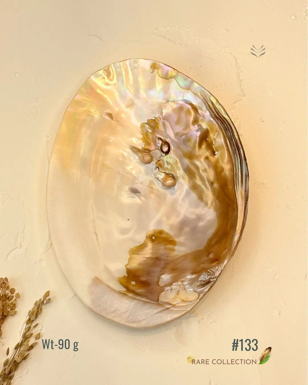 Invite Luxury Shells