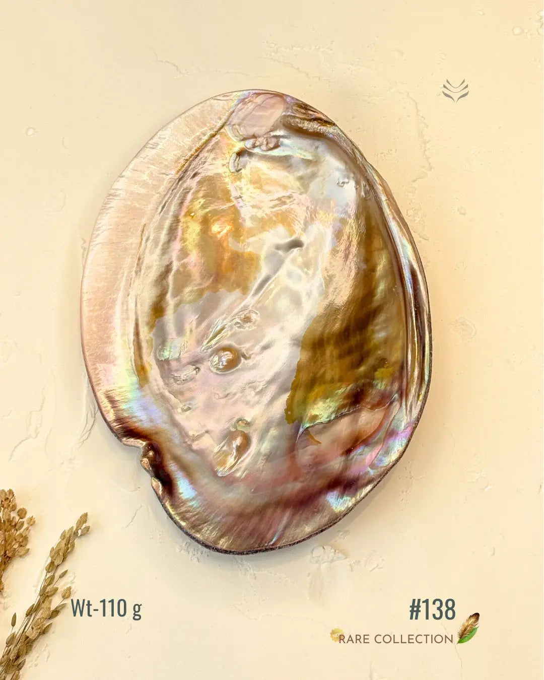 Invite Luxury Shells