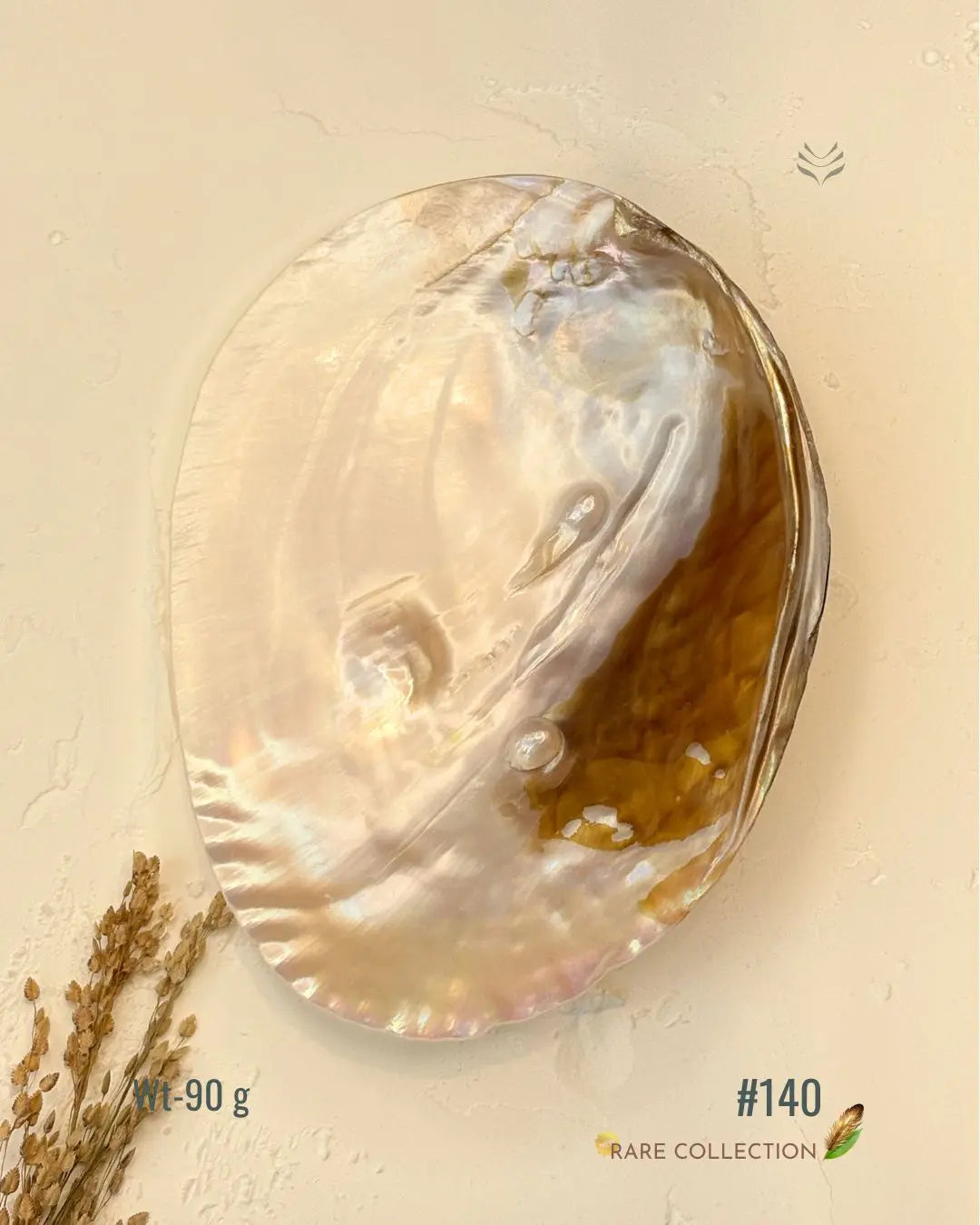 Invite Luxury Shells