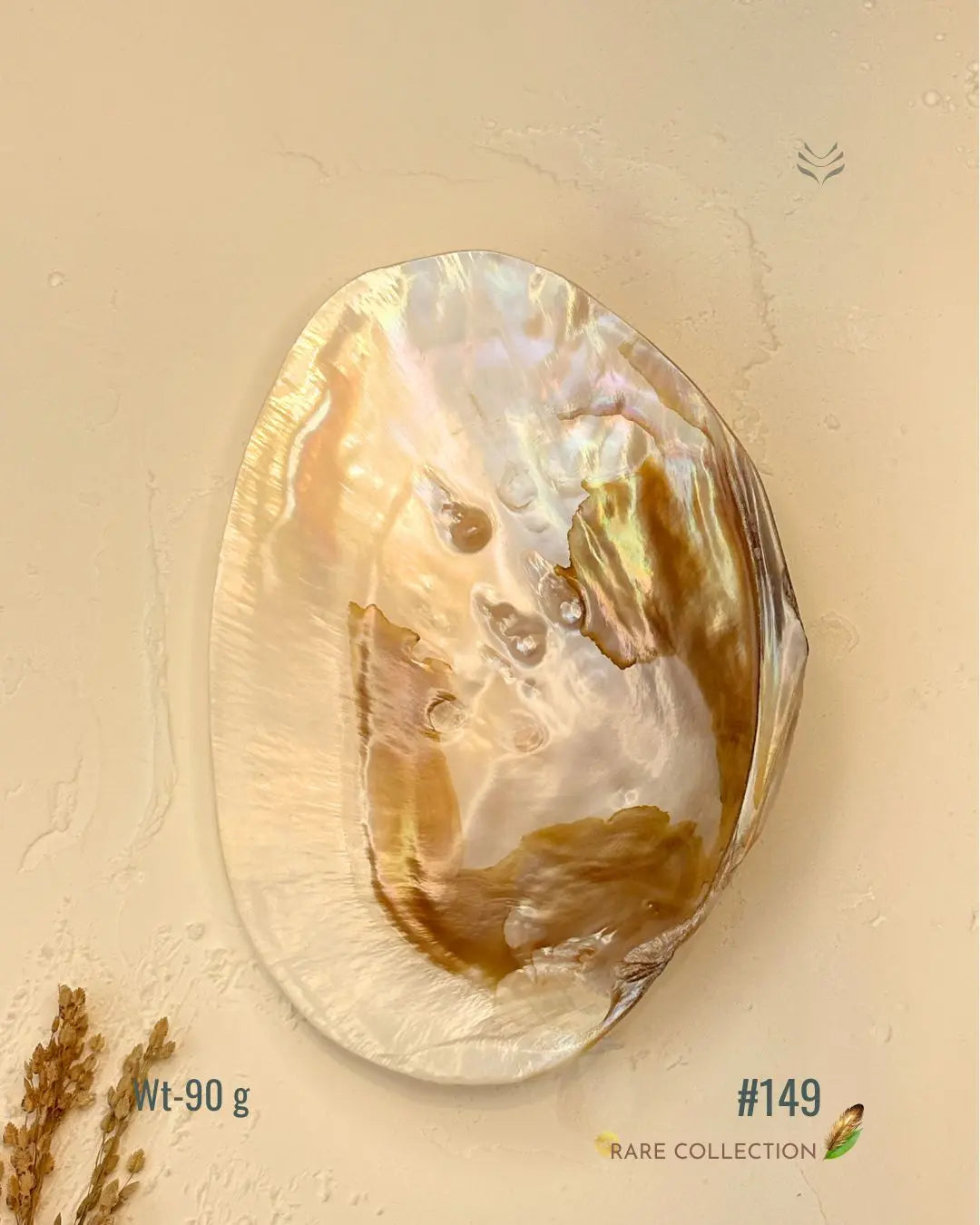 Invite Luxury Shells