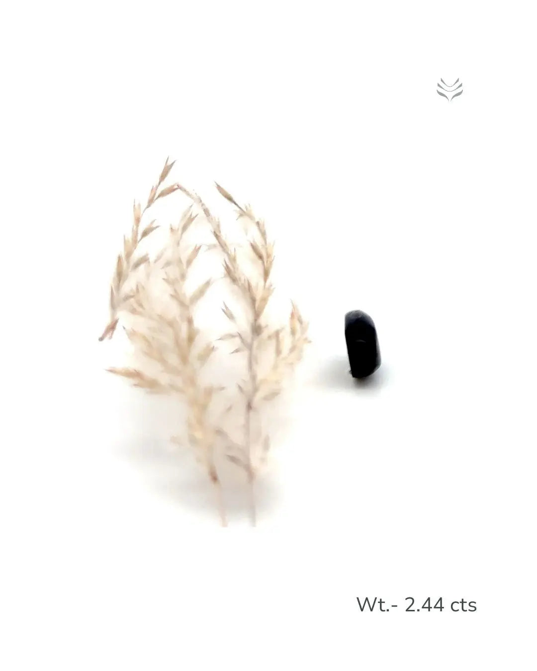 Light-Coded Black Opal - 2.44 Ct