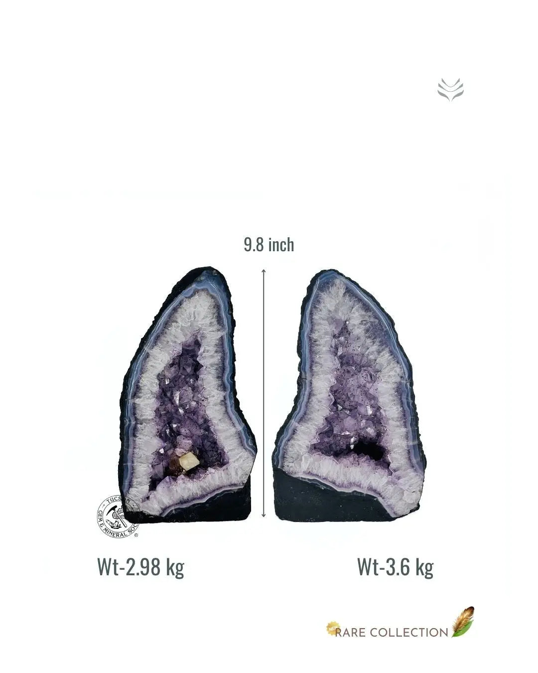 Light-Coded Double Power Duo Amethyst Geode #2