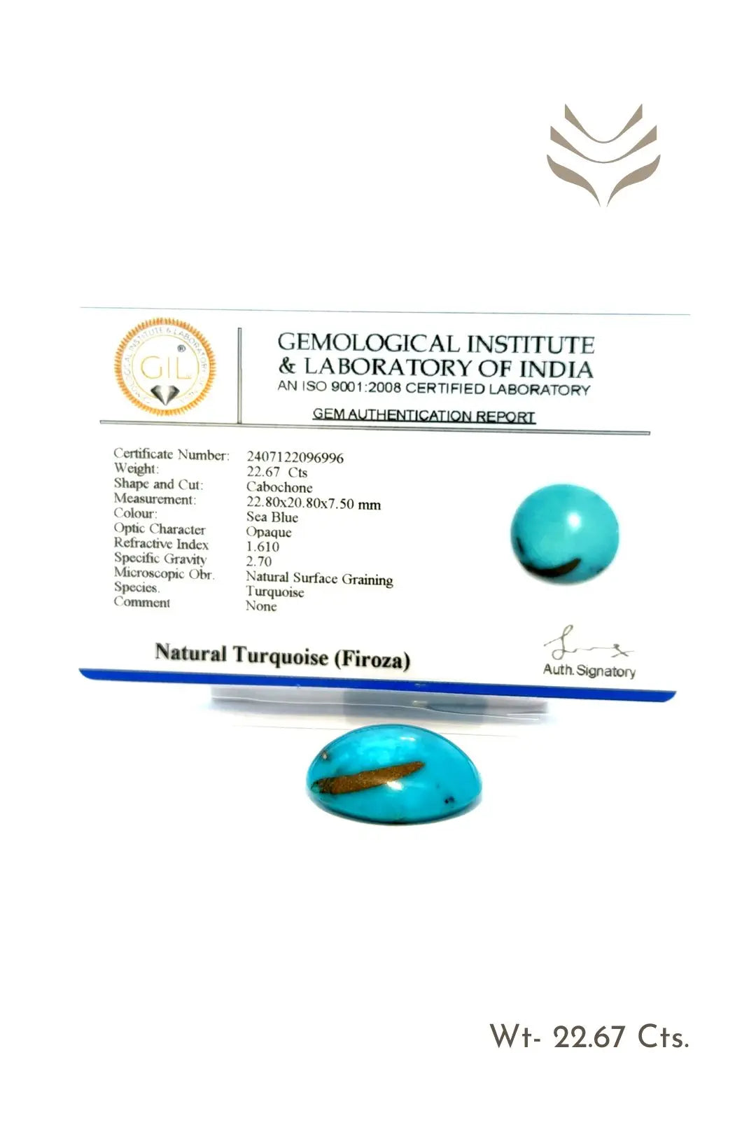 Light-Coded Elite Turquoise- 22.67 Ct