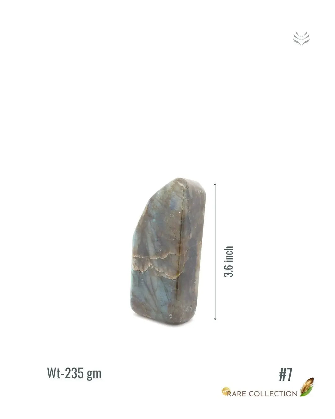 Light-Coded Inner Vision - Labradorite Free Form - 235gm #7