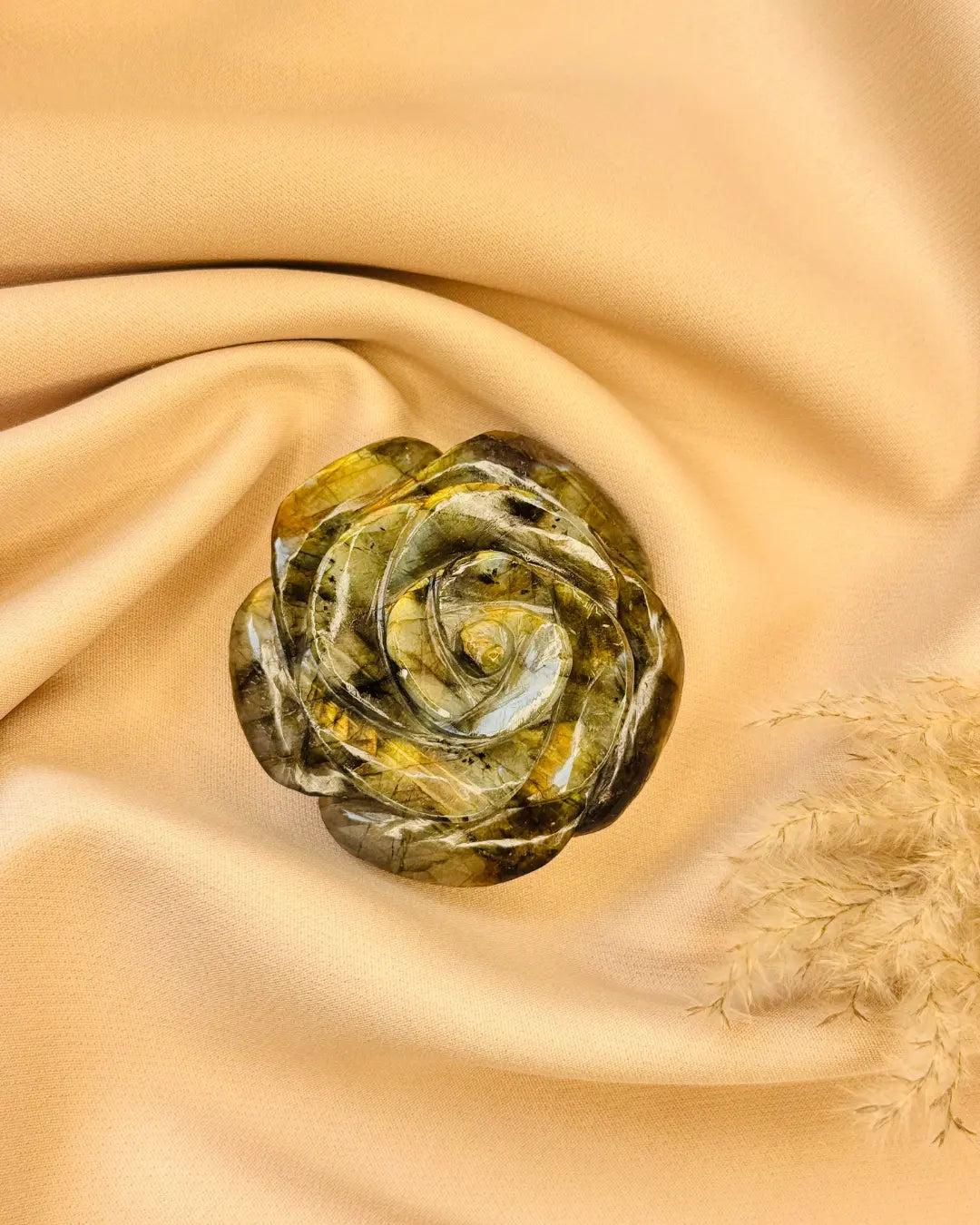 Light-Coded Labradorite Rose