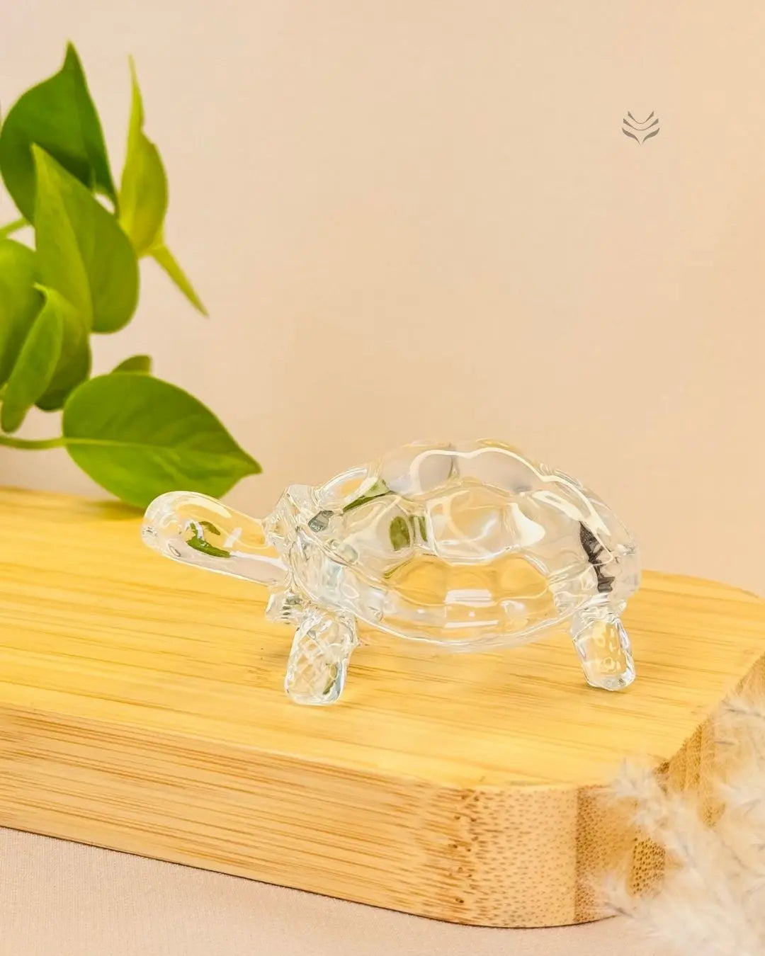 Light-Coded Long Life and Good Health Tortoise (Small)