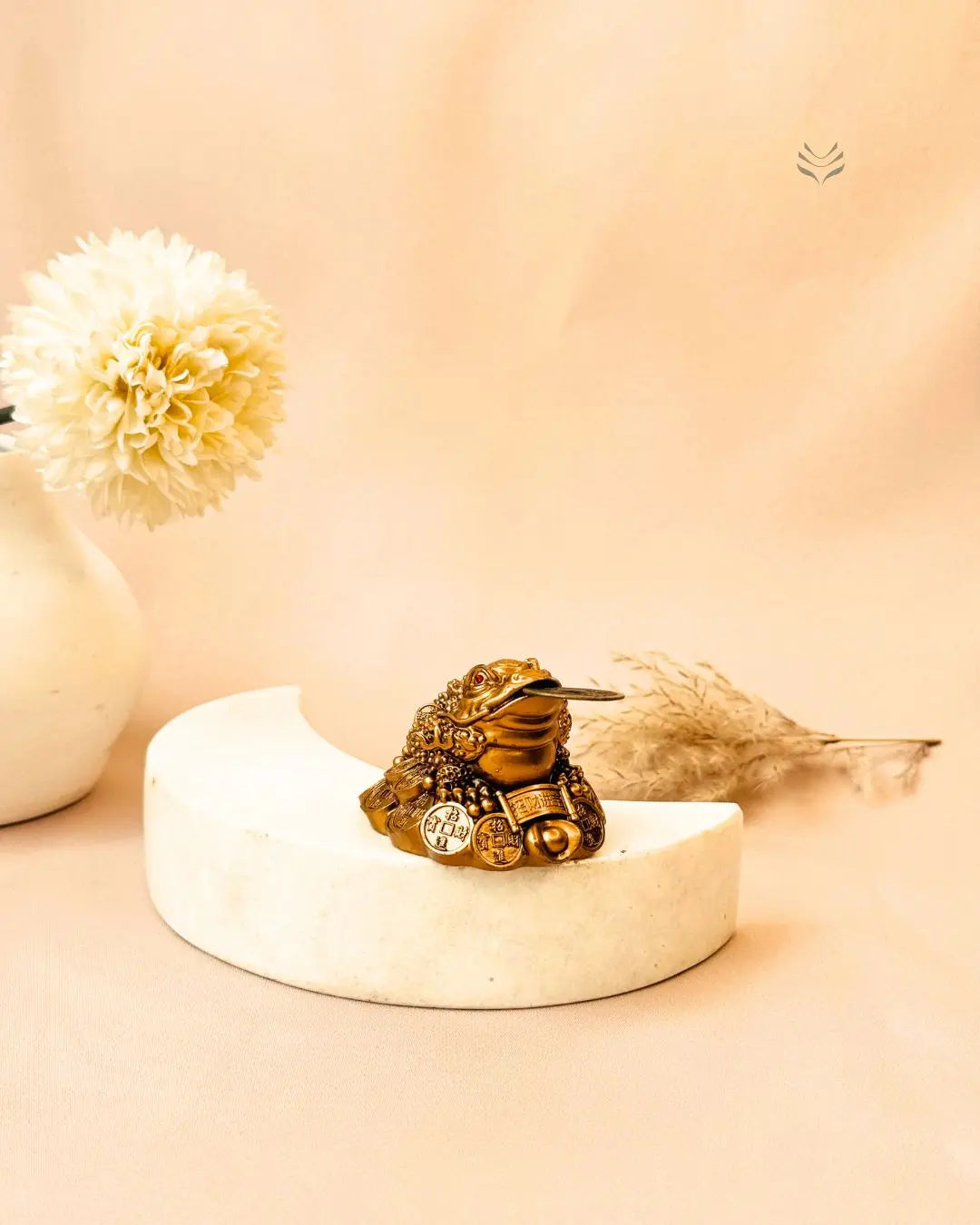 Light-Coded Money Frog