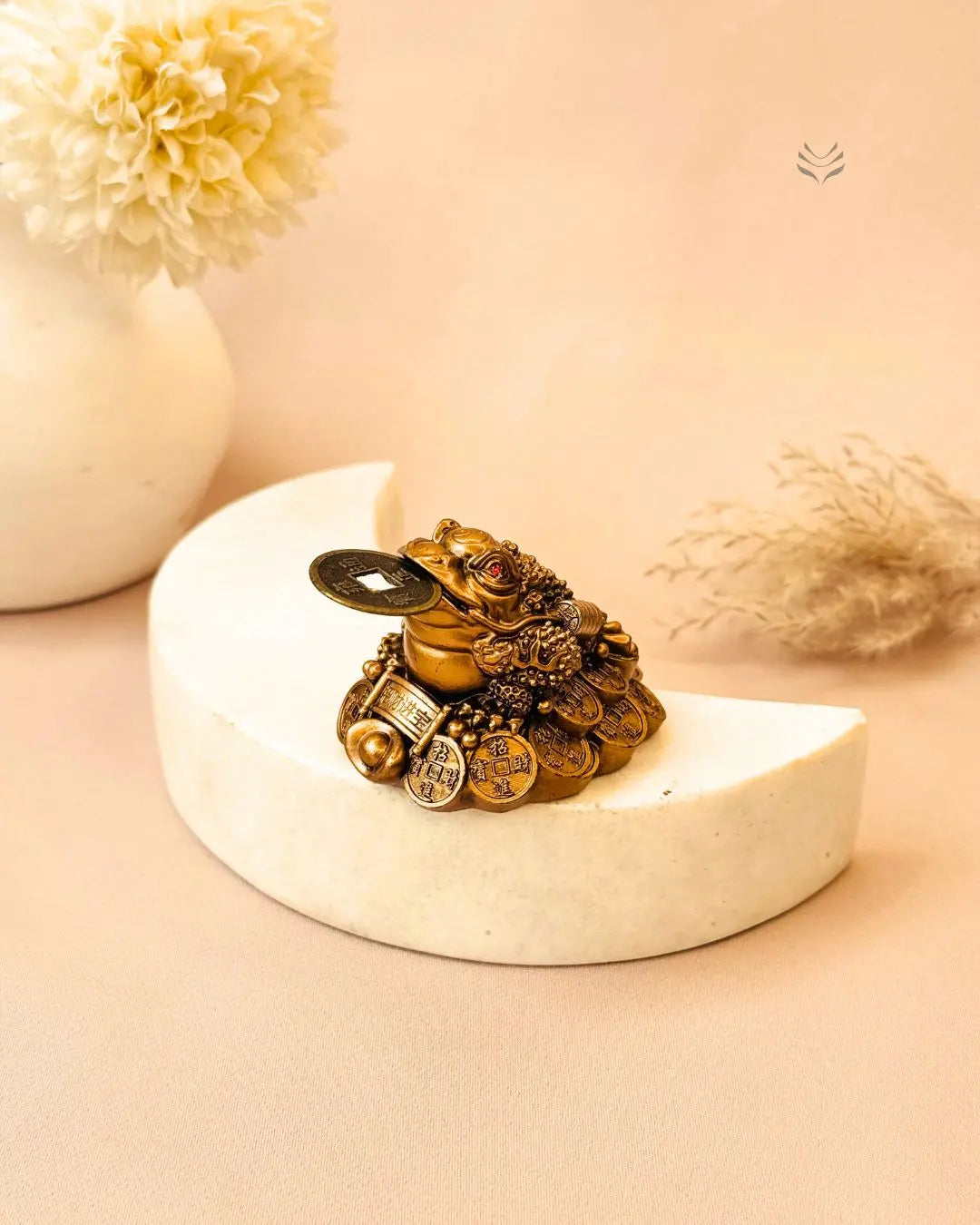 Light-Coded Money Frog