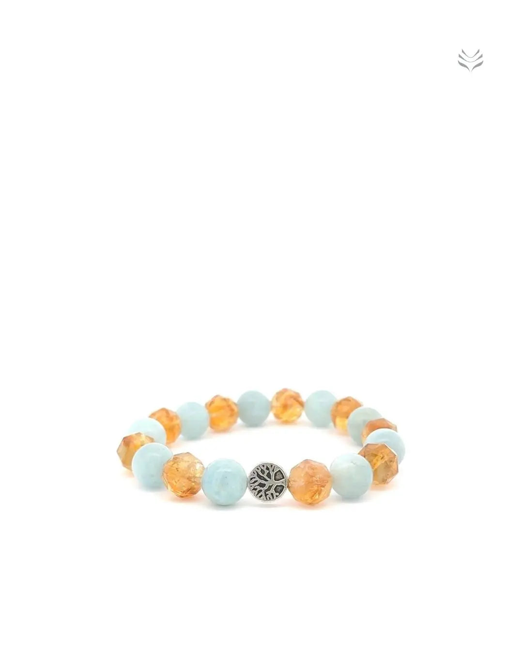 Light-Coded Network To Net Worth Mixel