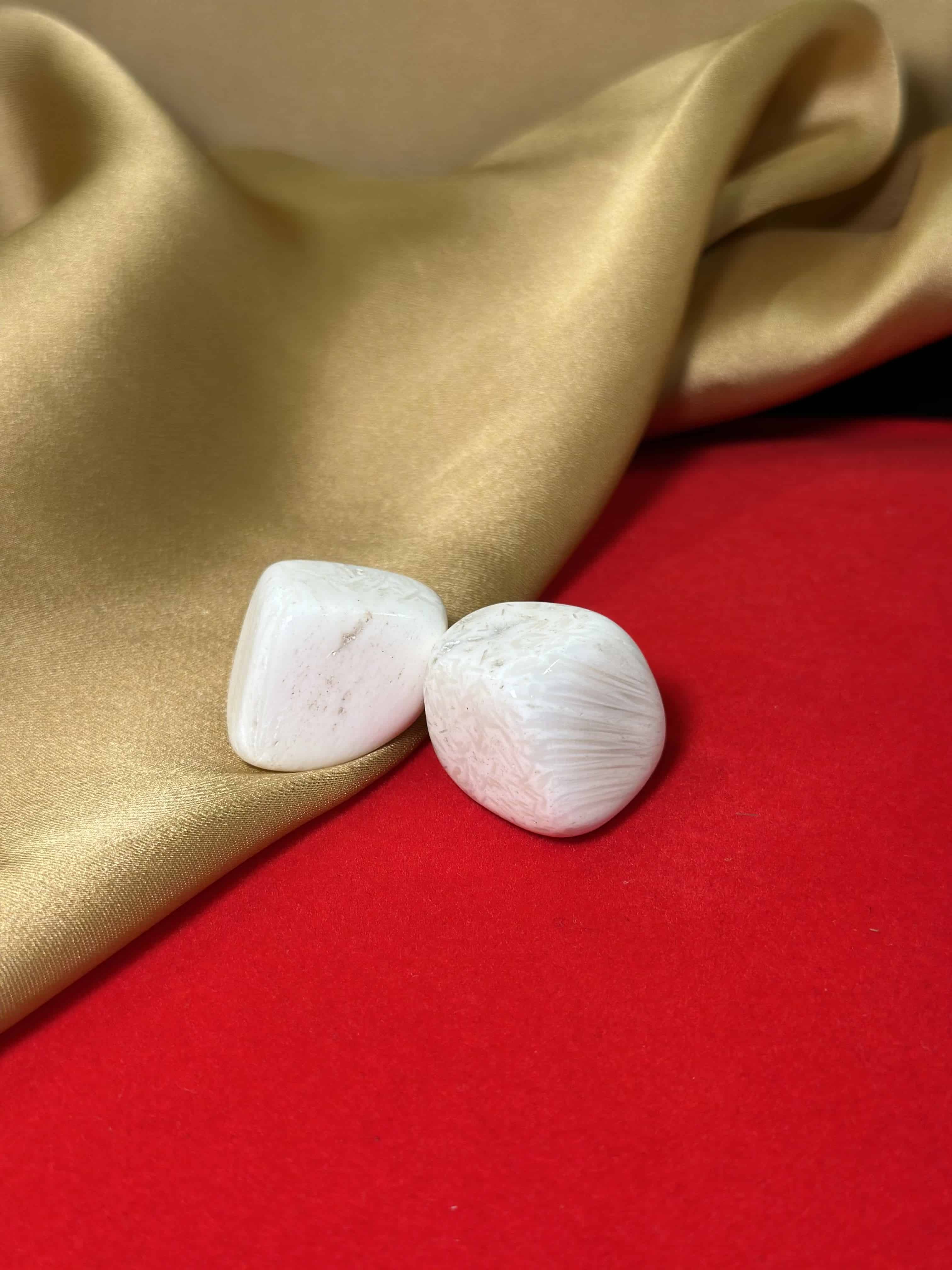 Light-Coded Scolo Tumbles