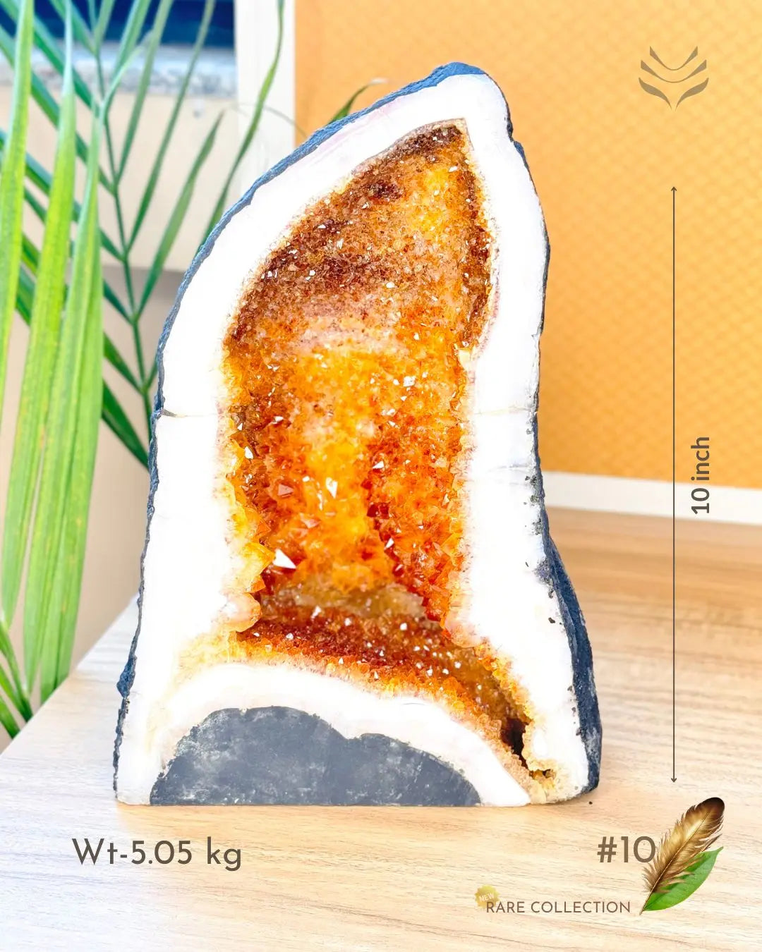 Light-Coded Wealth Magnet Citrine Geode (Part-1)