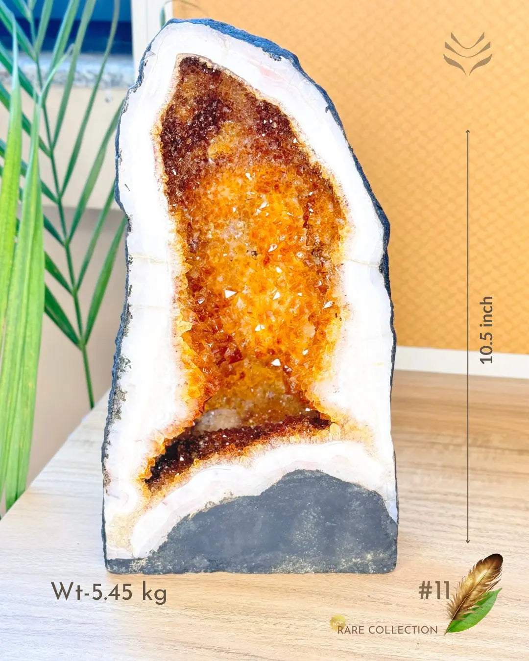 Light-Coded Wealth Magnet Citrine Geode (Part-1)